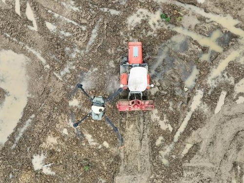 新時代中國調研行之看區域 中部篇 融媒一線 看,如此 接地氣 的科幻 農 景