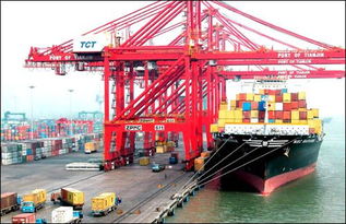 上海進(jìn)口預(yù)包裝食品要求 價(jià)格 68865521元 票